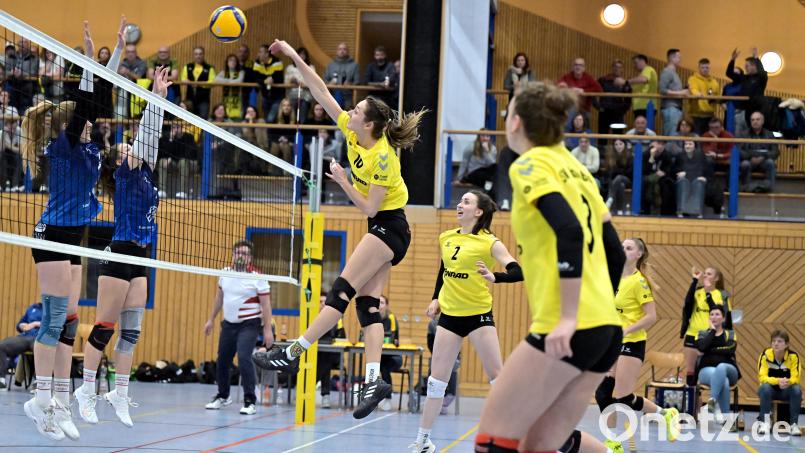 Schöner Schmetterball von Spielertrainerin Conny Sollfrank vom SV Hahnbach, beobachtet von Sara Sasic, Mira Sperber und Zuspielerin Elisabeth Kiehn (von rechts). Die Szene stammt aus dem Spiel von vergangener Woche gegen den MTV Rosenheim (1:3). Am Samstag tritt der SV beim TSV Eibelstadt im Kellerduell an. Bild: Hubert Ziegler