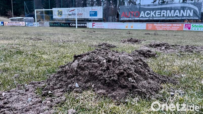 Der Fußballplatz des ASV Neustadt gleicht derzeit eher einem Acker. Bild: Gabi Schönberger
