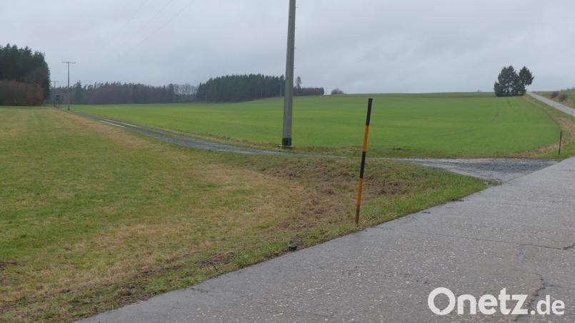 Neben der Ortsverbindungsstraße Scheckenhof–Barbaraberg soll auf einer Wiesenfläche von circa 20 Hektar eine PV-Freiflächenanlage entstehen. Bild: rn