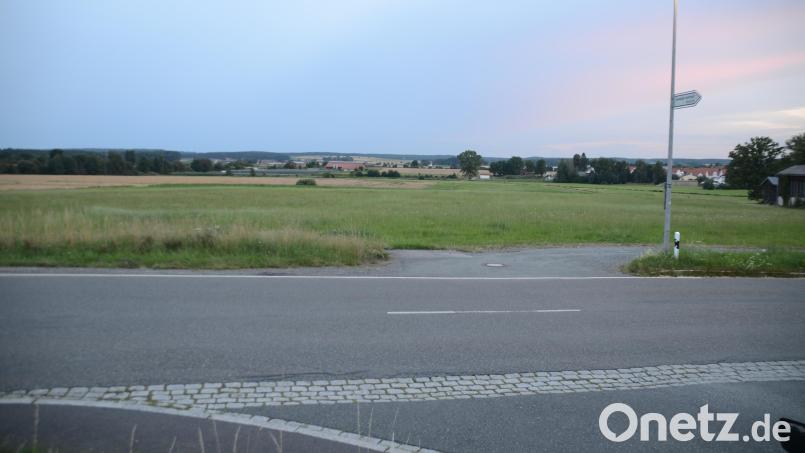 Auf dem Gewerbegrundstück Kemnather Straße 1 will DHL ein Logistik-Verteilzentrum bauen. Bild: ak