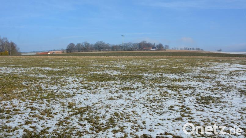 Auf dieser Fläche von 1,4 Hektar will Markus Sporrer am Ortsrand von Bad Neualbenreuth eine Agri-Photovoltaikanlage bauen. Im Hintergrund ist der Grenzlandturm zu sehen. Bild: jr