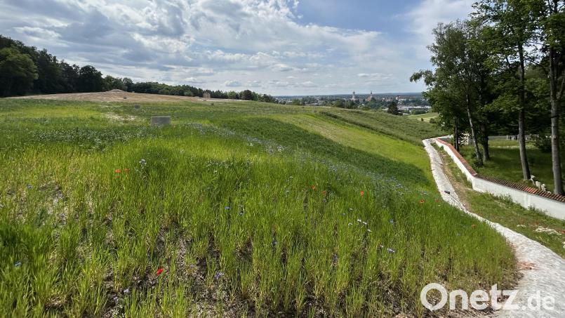 Die ehemalige Hausmülldeponie &quot;Erzhülle&quot; soll kein grüner Hügel bleiben, sondern nach Ansicht der Umweltschutzinitiative mit einer Photovoltaikanlage einen Beitrag zum Klimaschutz leisten. Betreiber könnte eine Genossenschaft sein - dieser Vorschlag wurde auch schon im Stadtrat diskutiert. Bild: Andreas Royer