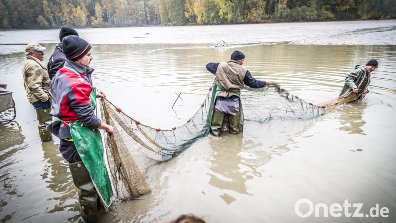 Abfischen im Land der 1000 Teiche. Bild: exb/Thomas Kujat