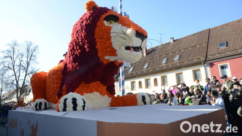 Der &quot;König der Löwen&quot;, mit vielen Papierrosen in Form gebracht, ist Teil des tollen Prinzenwagens. Bild: bey
