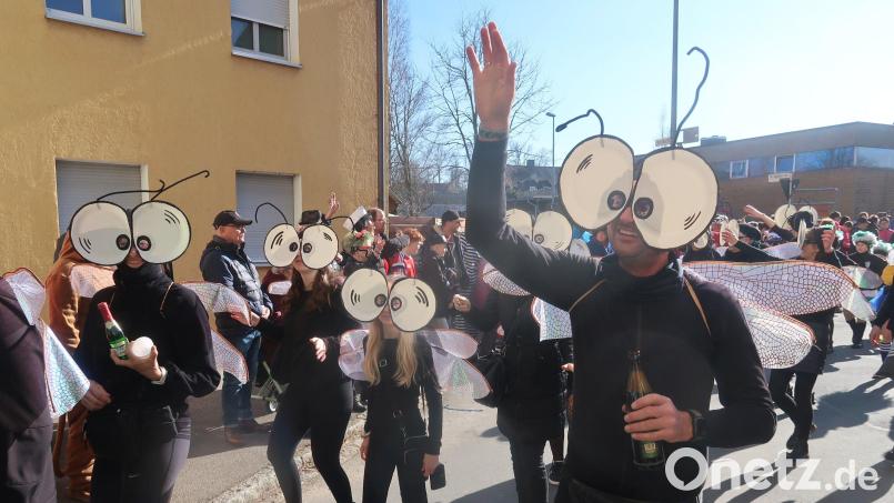 Kaum scheint die Sonne, sind auch schon die ersten Fliegen unterwegs. Diese hier kommen aus Reisach. Bild: rha