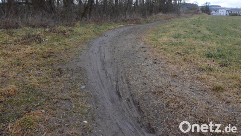 Viel Matsch befindet sich auf dem Trampelpfad zwischen Mooslohe und neuem Festplatz. Nun gibt es Überlegungen, den Weg zu befestigen. Die Planung ist allerdings nicht so einfach. Bild: Kunz