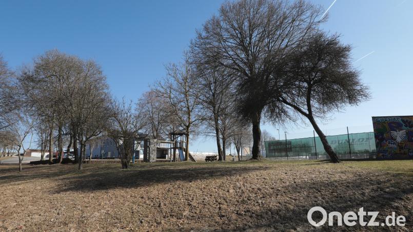 Die DJK Ensdorf erhält von den Fraktionsinitiativen des Freistaats Bayern 900.000 Euro an Fördergeldern für den Bau einer Judo-Kampfsporthalle auf ihrem Sportgelände. Bild: Wolfgang Steinbacher