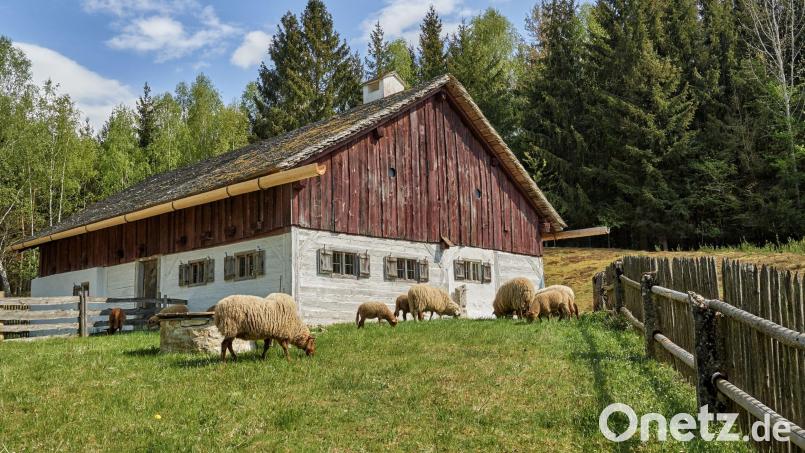 Wenn der Frühling kommt, beginnt auch im Freilandmuseum Oberpfalz die Saison. Bild: www.bayern.by/Florian Trykowski/exb