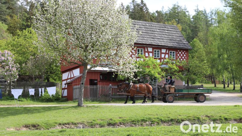 Frühling im Freilandmuseum in Neusath: Dort startet am nächsten Samstag die Saison. Archivbild: Eva Gröninger/exb