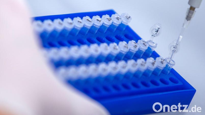 Recherchen mehrerer Medien weisen darauf hin, dass der Bundesnachrichtendienst Hinweise darauf hatte, dass das Coronavirus aus einem Labor in China stammt. Symbolbild: Jens Büttner