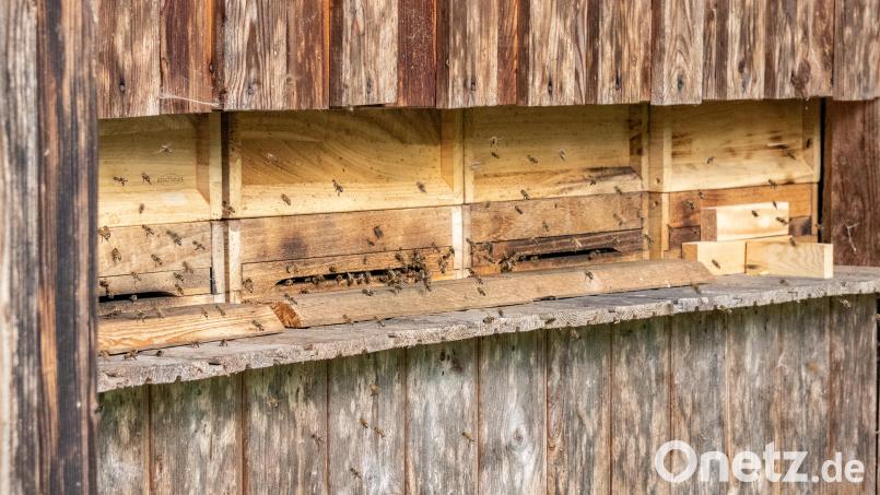 Bei Nabburg brannte ein Bienenhaus ab. Symbolbild: Susanne Forster