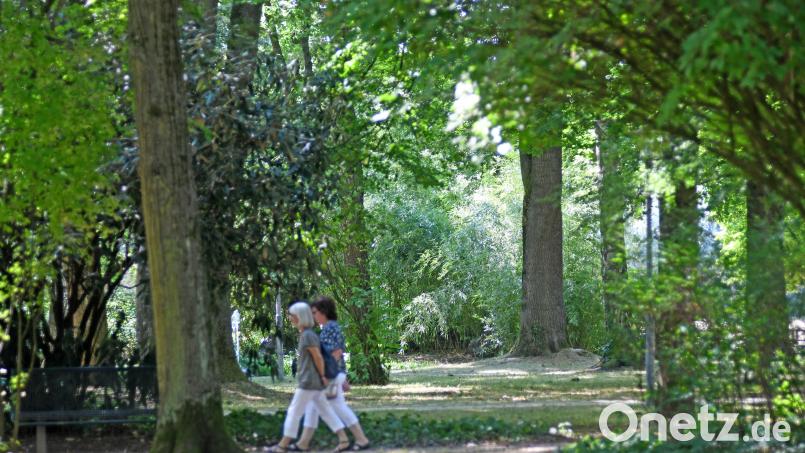 Wie lässt sich Weiden (hier der Max-Reger-Park im Sommer) am besten vor starker Hitze schützen? Dazu etwa könnte der Bürgerrat Ideen liefern. Archivbild: Gabi Schönberger