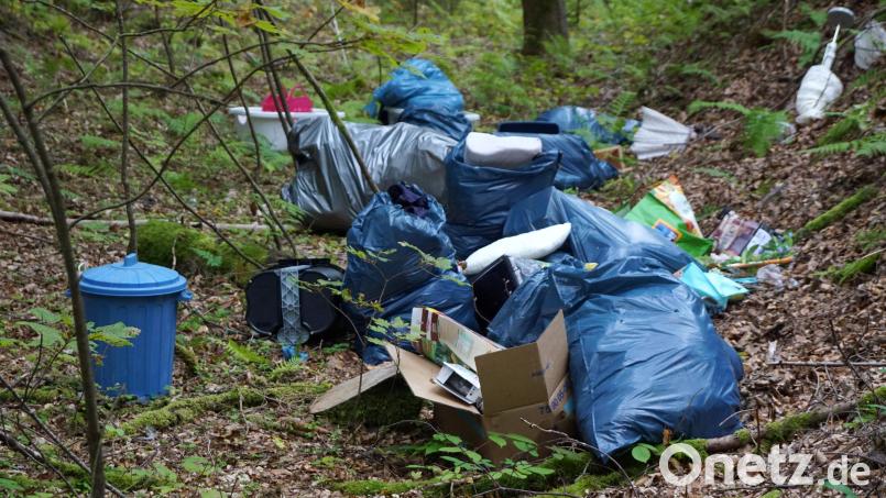 Illegale Müllablagerungen – wie hier auf dem Symbolbild – waren jetzt ein Thema im Stadtrat Mitterteich. Symbolbild: bkr