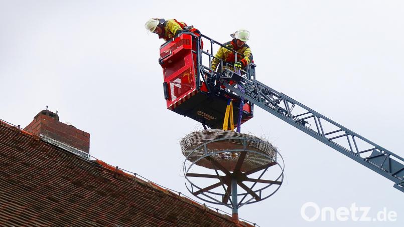 Passgenau setzten Max Winkler und Bastian Kaiser (im Korb von links) von der Feuerwehr Erbendorf das Storchennest in die vorgesehene Halterung. Bild: bsc