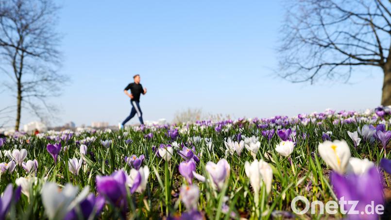 Die Oberpfalz hat es bis ins Wochenende noch mit sehr milden Temperaturen zu tun. Symbolbild: Christian Charisius