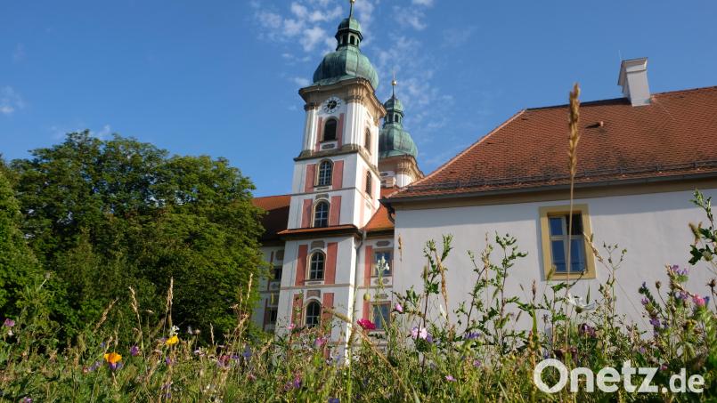 Ein blühendes Konzertjahr 2025 verspricht die Internationale Begegnungsstätte Kloster Speinshart Bild: do