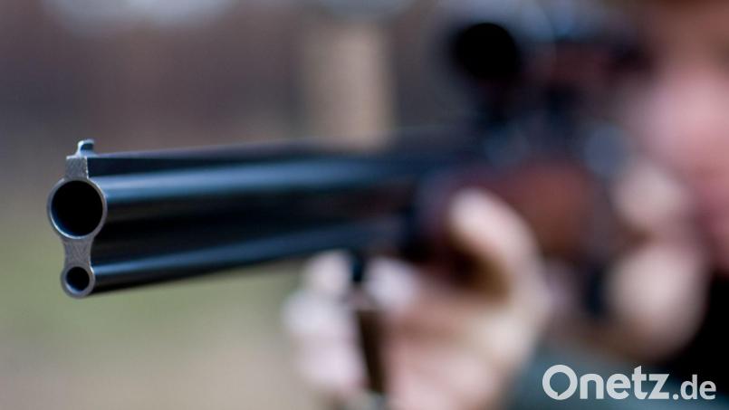Luderplätze dienen eigentlich der Jagd auf Raubtiere wie Füchse. Symbolbild: Patrick Pleul/dpa-Zentralbild/dpa