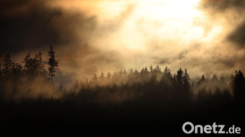 Hinter Regenwolken und aufsteigendem Nebel geht hinter einem Wald die Sonne unter. Symbolbild: Karl-Josef Hildenbrand/dpa