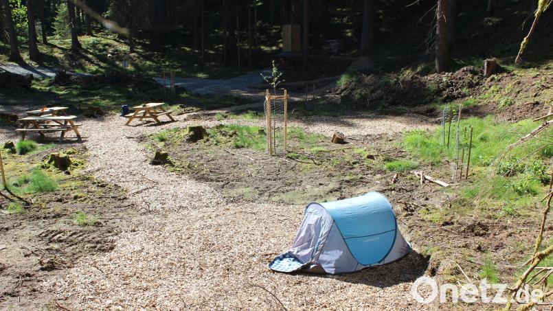 Ein paar Sitzgelegenheiten und eine Trockentoilette, mehr nicht: Die Trekkingplätze an den Wiesauer Waldseen und im Waldnaabtal sind für alle, die Natur pur wollen. Bild: Tourismuszentrale Oberpfälzer Wald