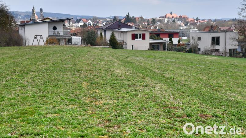 Auf dieser Wiese hinter der Staatlichen Realschule soll ein neues Baugebiet in Amberg mit dem Namen „Sonnleite 2“ entstehen. Bild: Petra Hartl