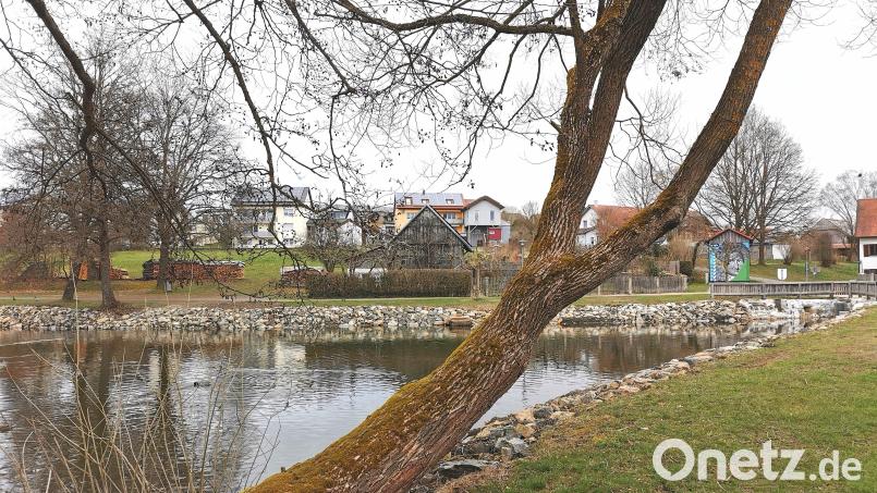 Die Stadt kann das Marktweihergelände aufgrund gesicherter Förderung attraktiver gestalten. Dazu gehört ein neuer Spielbereich auf der Wiese in Richtung Bebauung Sandradl. Bild: Portner