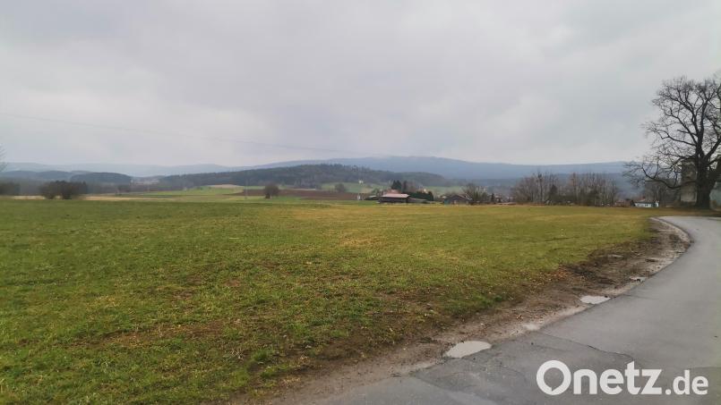 Hier entsteht das neue Gewerbegebiet zwischen B 22 und der &quot;Rotkreuzlinde&quot;. Das Naturdenkmal am Rande des Gewerbegebietes muss erhalten und geschützt werden. Bild: amö