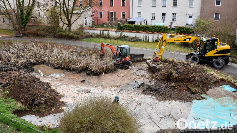 Ein großer und ein kleiner Bagger rücken dem sogenannten Biotop im Amberger Stadtgraben zu Leibe. Damit schafft die Stadt Amberg eindeutige Tatsachen. Bild: Stephan Huber
