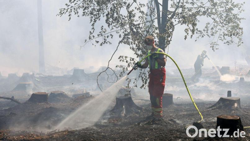 Der Angeklagte soll für diesen brennenden Wald in Unterfranken verantwortlich sein. (Archivfoto) Bild: Ralf Hettler/dpa