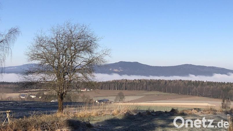 Ein gewichtiges Argument für den Standort des geplanten Naturparkzentrums für den Steinwald war die Aussicht beim Marktredwitzer Haus bei Hohenhard (Stadt Waldershof). Archivbild: wro