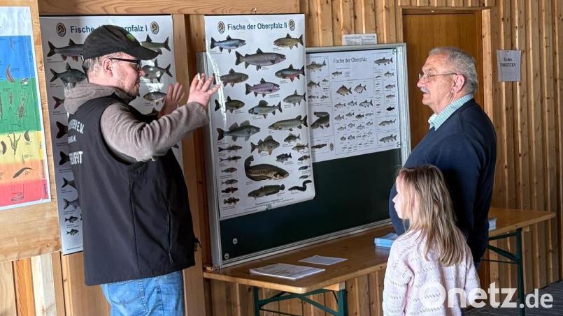 Im Fischereiheim wurden die im Eixendorfer Stausee vorkommenden Fisch- und Muschelarten erläutert. Bild: sns