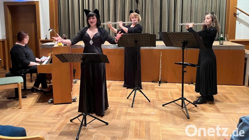 Vier hochmotivierte Musikerinnen in Aktion: Von links Klara Bäumler, Maren Gleixner, Marion Elling-Birkhan, Annemarie Brinckmann Bild: hbl