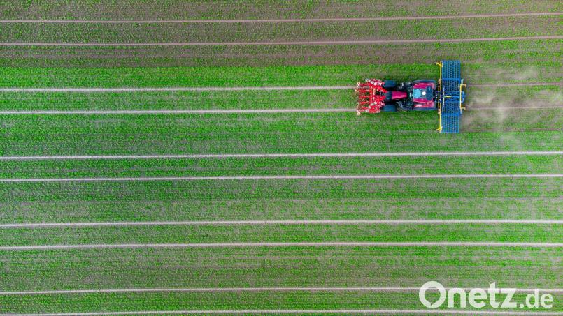 Ein Landwirt fährt mit seinem Traktor über ein Feld. Symbolbild: Philipp Schulze/dpa