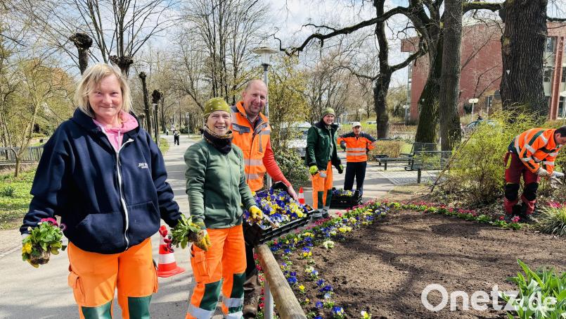 Im Einsatz für den Frühling: Die Mitarbeiterinnen und Mitarbeiter der Stadtgärtnerei haben im Moment alle Hände voll zu tun. Etliche tausend Blumen werden angepflanzt. Bild: Pressestelle Stadt Weiden