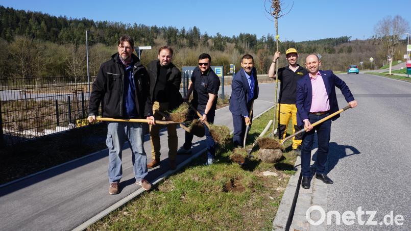 Michael Weidner (Singer-Bau), Bastian Wittmann (Edeka), Ulrike Pongratz, Dr. Michael Doblinger (Raiffeisenbank), Thomas Hollweck, Fabian Berschneider, Bürgermeister Hans Ram und Maximilian Pongratz pflanzten die erste Säulenhainbuche in Ensdorf. Bild: tra