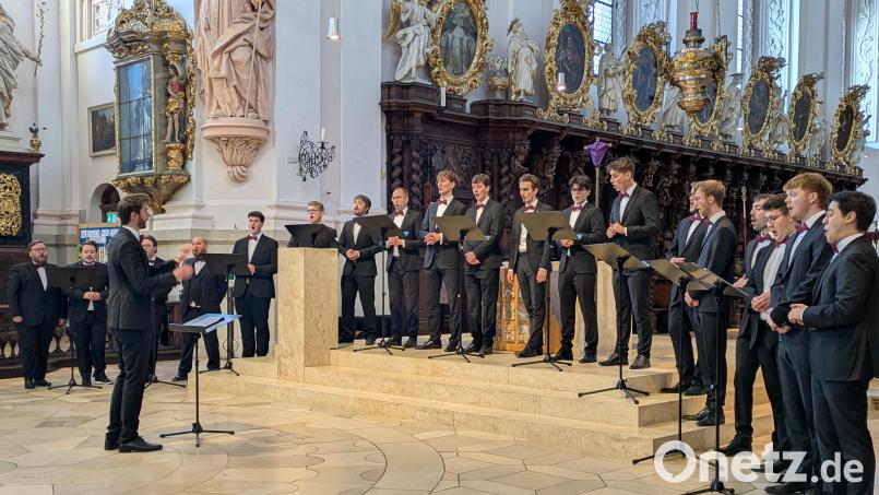 Aus ehemaligen Regensburger Domspatzen besteht das Renner-Ensemble, das am Sonntag in der Basilika Waldsassen ein beeindruckendes Konzert gab. Bild: pz