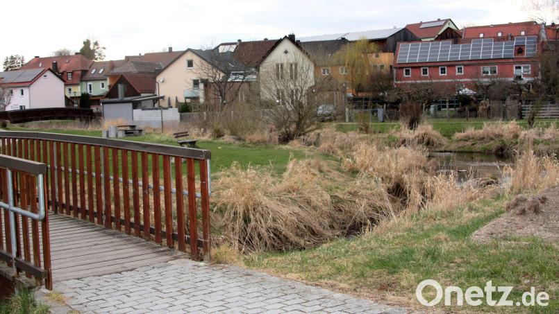 Gefahrlos spielen können sollen Kinder später einmal an der Einmündung des Netzbaches (vorne) in die Waldnaab. Bild: wro