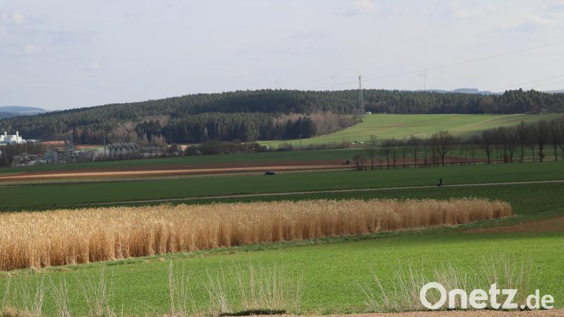 Ein weiteres Großprojekt in Sachen Energiemanagement ist auf den Grundstücken mit den Flurstücknummern 413, 428 und 429 in Vorbereitung. Auf 10 Hektar Fläche könnten eine Agri-PV-Anlage (9,5 Hektar) und eine Batteriespeicheranlage (0,5 Hektar) entstehen. Bild: war