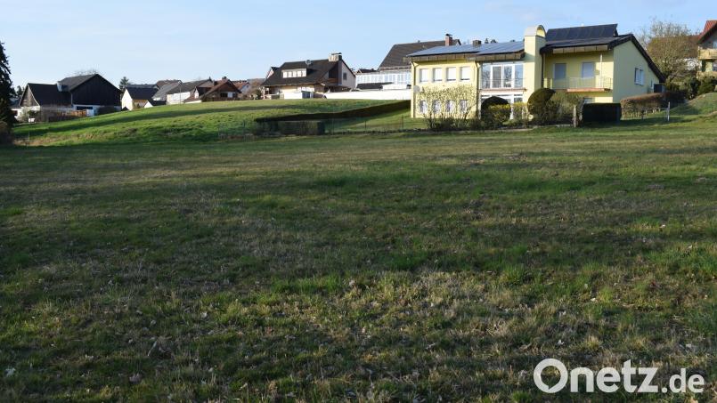 Das geplante Baugebiet &quot;Traunricht-Südhang&quot; ist in der Bevölkerung nicht unumstritten. Klarheit soll die zweite Auslegung des Bebauungs- und Grünordnungsplans bringen. Bild: bnr