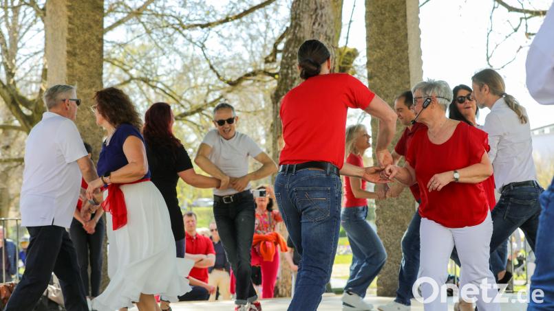 Der Rueda-Flashmob im Pavillon im Englischen Garten. Bild: Wolfgang Steinbacher