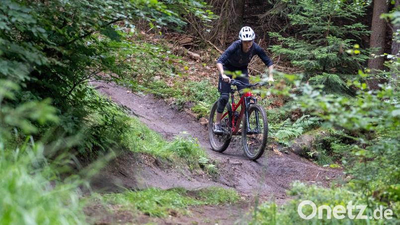 Schon ab Ende dieses Jahres könnten im Bereich zwischen dem Naturparkland Oberpfälzer Wald und der Silberhütte vier neue Mountainbike-Trails entstehen. Symbolbild: Daniel Karmann/dpa