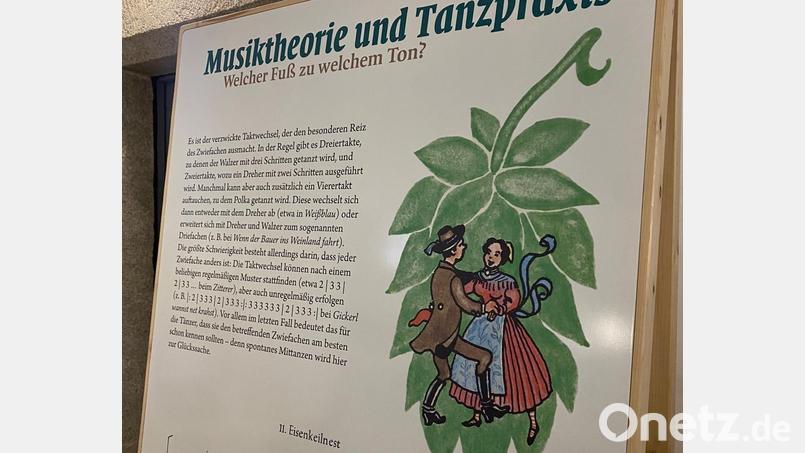 Die Ausstellung „Zwiefache raus! – Vom Tanz aus der Reihe“ ist in der Friedrichsburg zu sehen. Bild: Nicole Zwicknagel/Bezirk Oberpfalz/exb