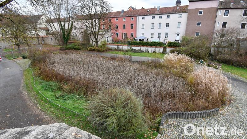 So sah der Weiher im Amberger Stadtgraben aus. Eine Petition mit 1113 Unterschriften wünscht sich, dass an dieser Stelle wieder ein Biotop entsteht. Archivbild: Petra Hartl