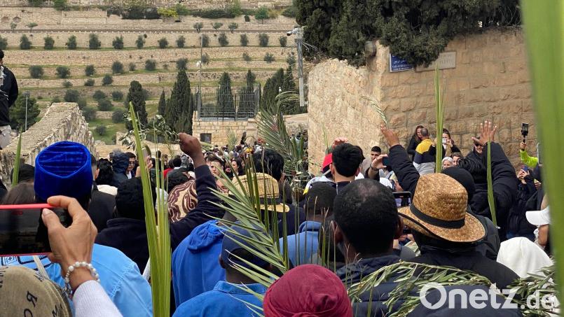 Erinnerung an den Einzug Jesu in Jerusalem: Christen halten bei der Palmsonntagsprozession am Ölberg Palmwedel in die Höhe, dahinter ist die Skyline von Jerusalem zu sehen. Bild: Abtei Dormitio