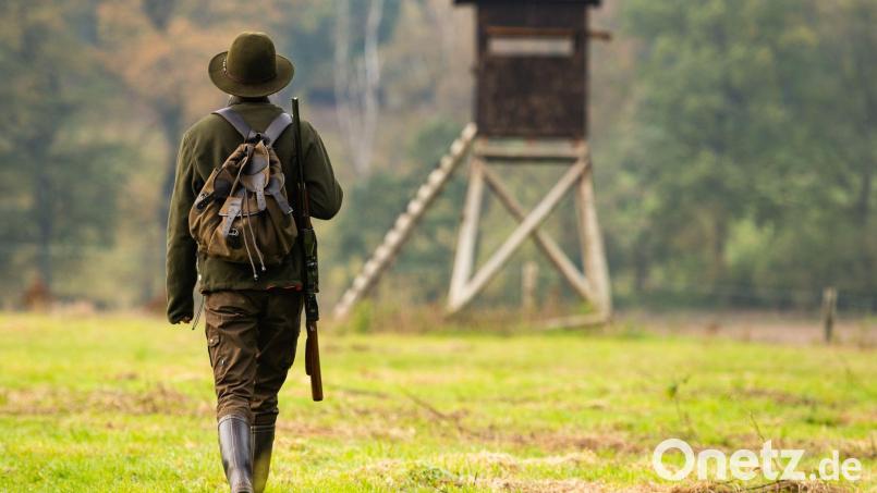 Das neue Jagdgesetz sei ein &quot;Generalangriff auf geschützte Arten&quot;, sagt der Bund Naturschutz in Bayern. Symbolbild: Philipp Schulze/dpa
