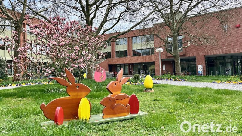 Frühlingserwachen vor dem Weidener Rathaus: Eine große Zahl an Bewerbern geht ins Rennen um das Amt des Oberbürgermeisters. Das ist ein knappes Jahr vor der Wahl bereits klar. Bild: Gabi Schönberger