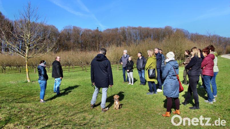 Die Haselnussplantage zieht sich mit ihrer Fläche von sechs Hektar bis über den oberen Bildrand hinauf. Hans Zäch (links) informierte seine Gäste mit Wissenswertem über den Anbau, die Pflege, die Ernte und den Ertrag. Bild: ds
