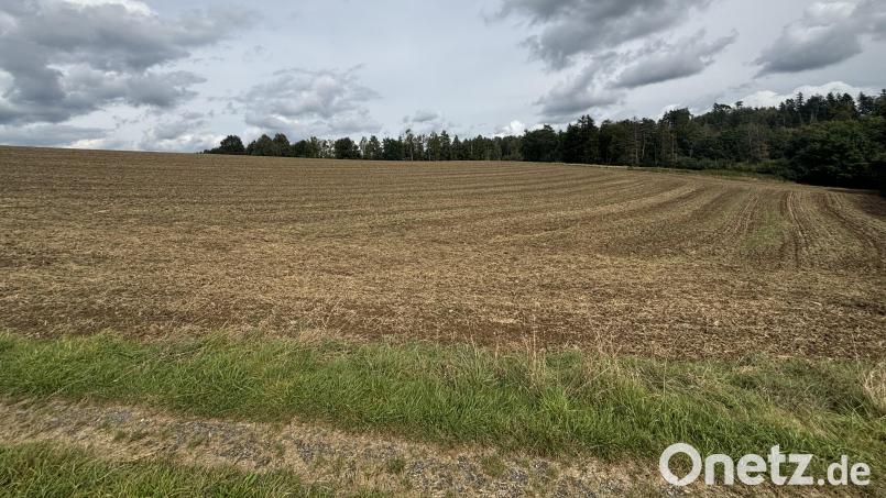 Oberhalb des Ortseingangs Trautenberg soll die neue Freiflächen-PV-Anlage gebaut werden. Hierfür erteilte der Gemeinderat bereits im September die Genehmigung. Nun ging es um einen Weg, der nicht mit den realen Grundstücksgrenzen übereinstimmt. Archivbild: tri