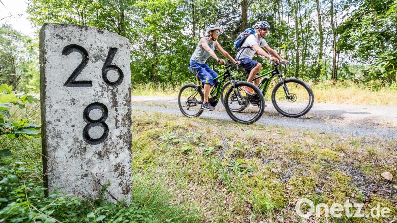 Radfahrer auf dem Freundschaftsradweg im Landkreis Schwandorf Symbolbild: @Oberpfälzer Wald/Thomas Kujat