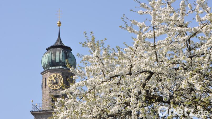 Der Frühling klopft mächtig an und mit ihm erblüht die Natur die ihre üppige Pracht zeigt. Bild: dob