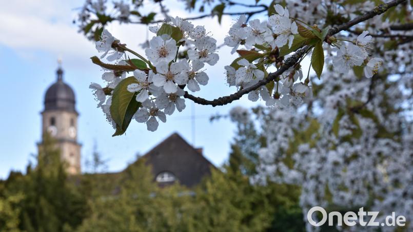Es wird Frühling in der Oberpfalz! Bild: Stephan Huber
